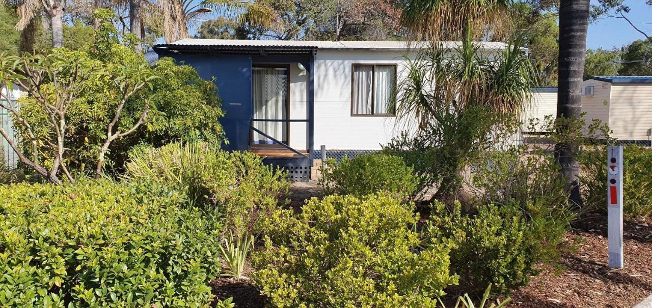 Pinjarra Caravan Park And Cabins ภายนอก รูปภาพ